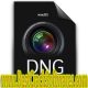 Adobe DNG Converter 15 macOS Free Download