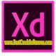 Adobe XD x64 Free Download