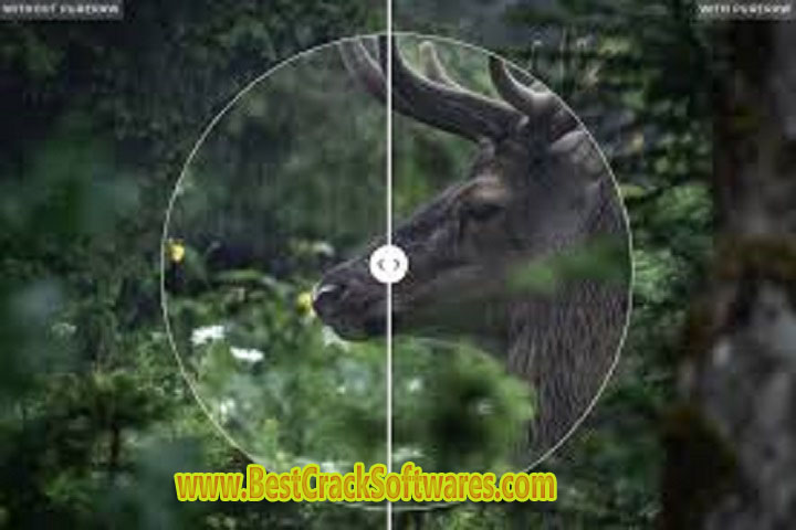 DxO Pure RAW 2 x 64 Free Download with Patch