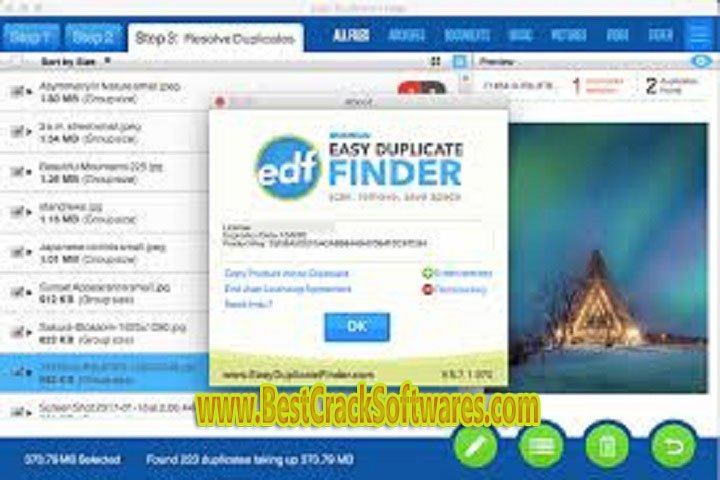 Easy Duplicate Finder 7.23.0.42 x 64 Free Download with Crack