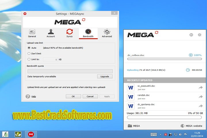 MEGA Sync Setup 64 Free Download with Patch