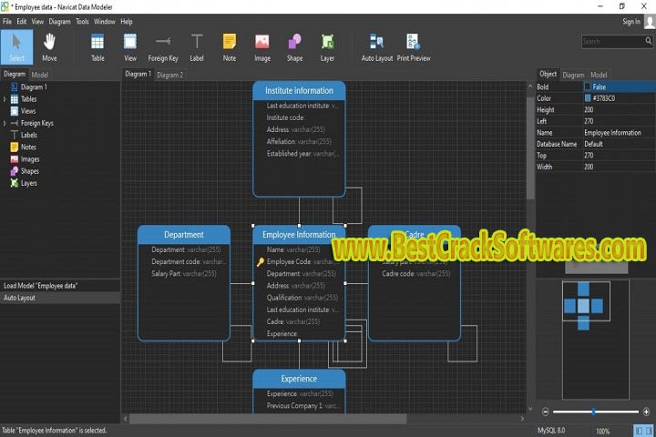 Navicat Data Modeler Premium 3.2.7 x 64 Free Download with Patch