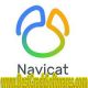 Navicat Data Modeler Premium 3.2.7 x 64 Free Download