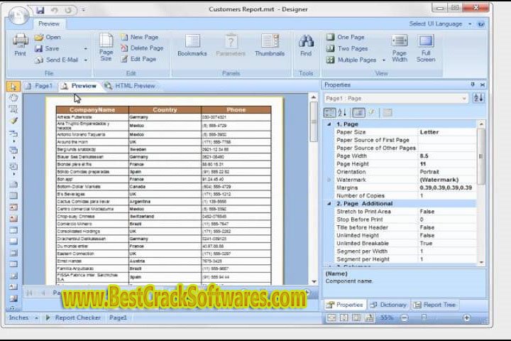 Stimul Soft Reports 2023.1.1 Free Download with crack