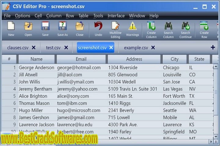 Gammadyne CSV Editor Pro 25.1 Free Download with Patch