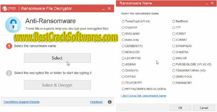 Avast Ransomware Decryption V1.0 Pc Software with crack