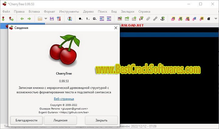 GetFLV 30.2307.13.0 Pc Software with patch