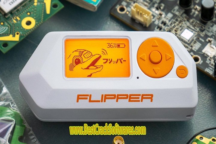 Flipper Win V 1 PC Software
