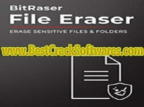 BitRaser File Eraser Standard 5.0.0.8 PC Software