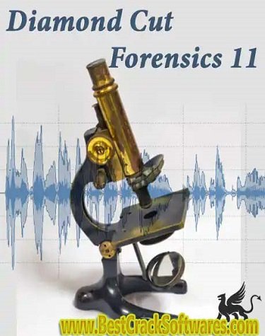 Diamond Cut Forensics Audio Laboratory 11.01 PC Software
