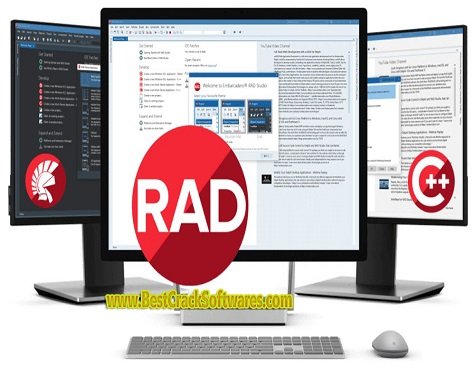 Embarcadero RAD Studio 11.2 PC Software