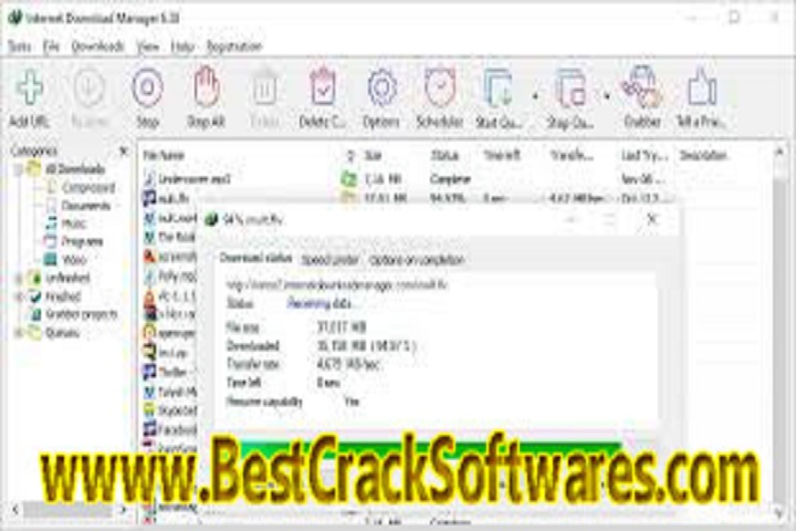 Internet Download Manager 6.42 Build 36