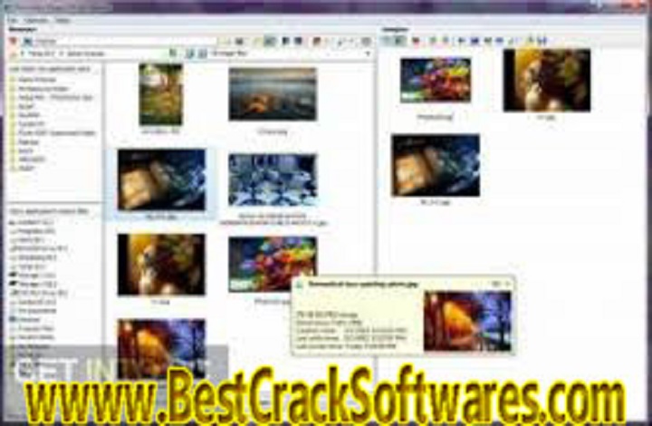 3delite_Video_1.0.22.28 Free Download