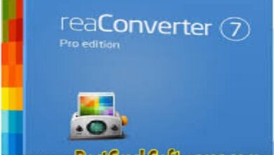 ReaConverter Pro 7.852 PC Software