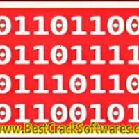 Secure Delete Professional 2025 v210 Multilingual PC Software